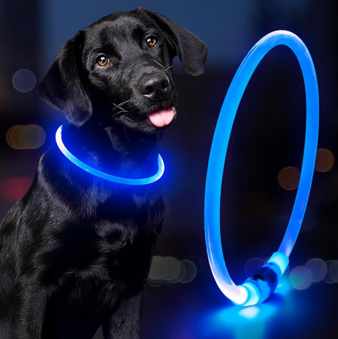 GlowPet®️ Seguridad y visibilidad para tu peludo 🐶🐾