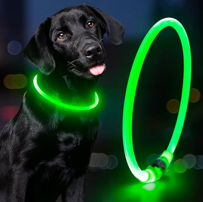 GlowPet®️ Seguridad y visibilidad para tu peludo 🐶🐾