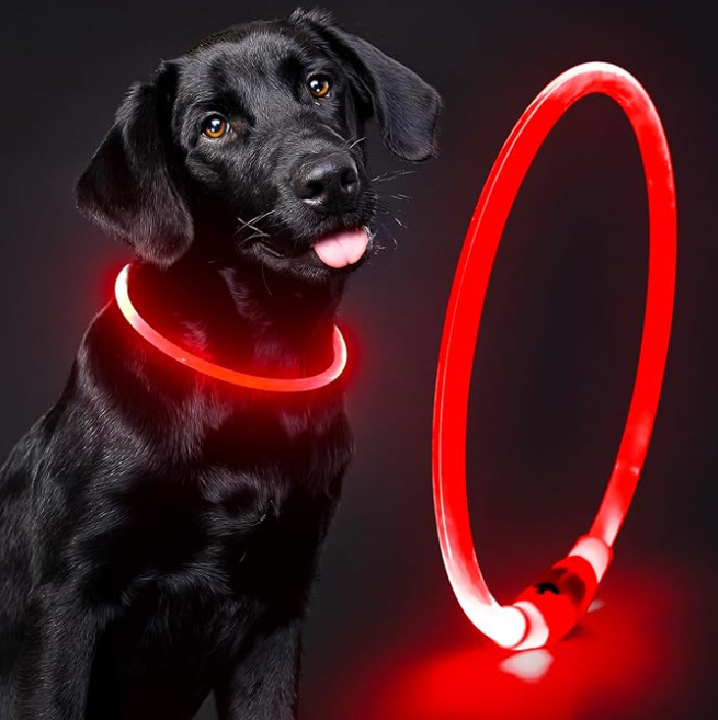 GlowPet®️ Seguridad y visibilidad para tu peludo 🐶🐾