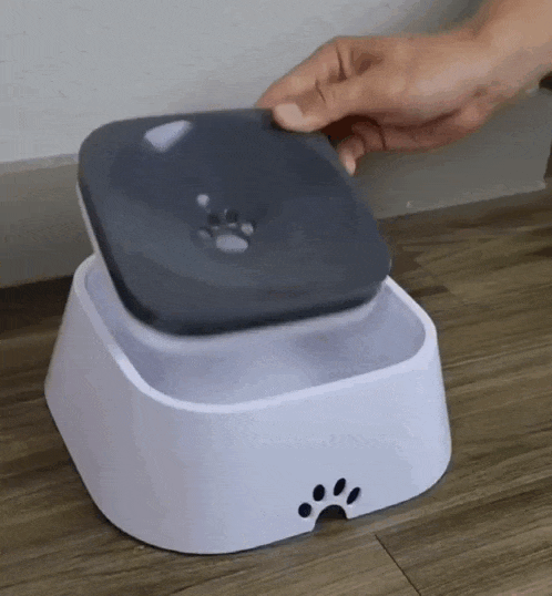 BOWLPET ANTI-SPLASH®️ BEBEDERO ANTIDERRAME