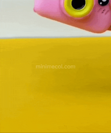 KidCAM®️Clic, clic y ¡recuerdos! La cámara más divertida para los peques🐰📷
