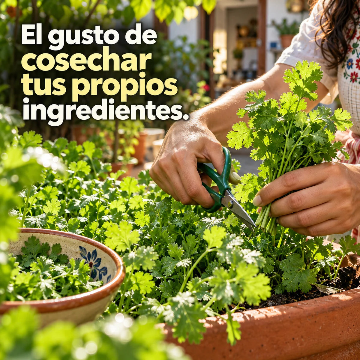 Kit Semillas Huerta en Casa