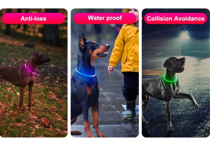 GlowPet®️ Seguridad y visibilidad para tu peludo 🐶🐾