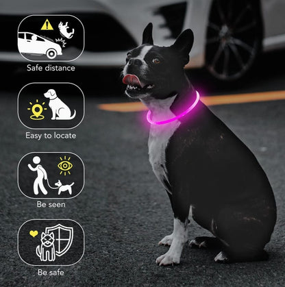 GlowPet®️ Seguridad y visibilidad para tu peludo 🐶🐾