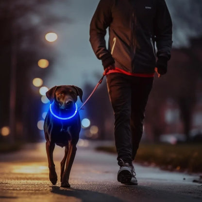 GlowPet®️ Seguridad y visibilidad para tu peludo 🐶🐾