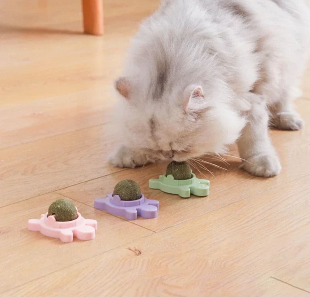 KIT X3 CATNIP TOY BALL®️ Hierba para gatos