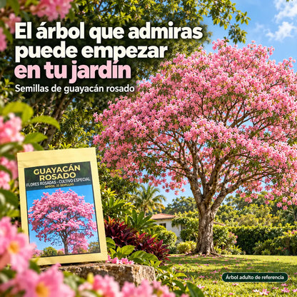 25 Semillas de Guayacán Rosado