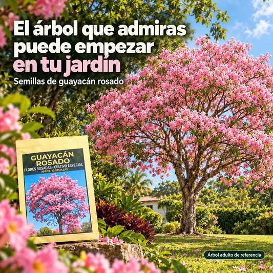 25 Semillas de Guayacán Rosado