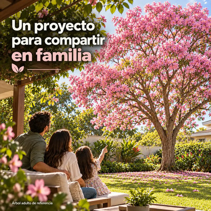 25 Semillas de Guayacán Rosado